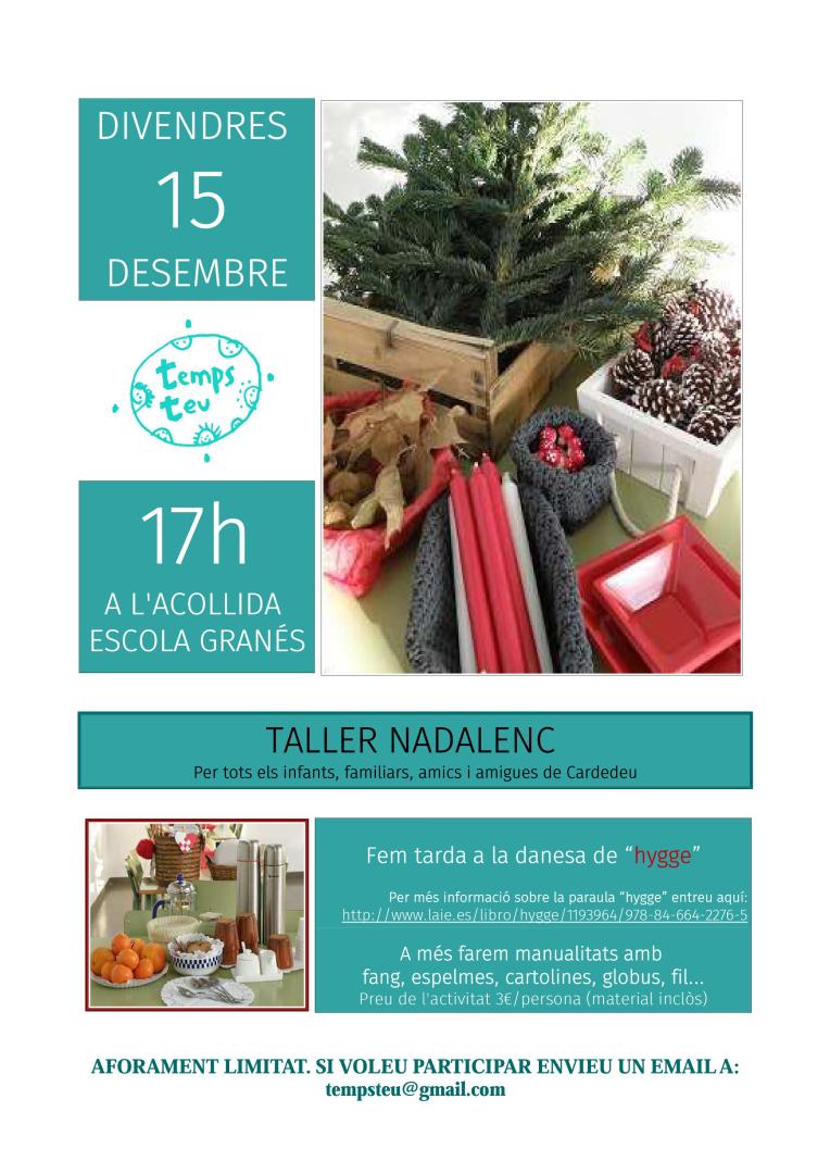 Taller 15 desembre_17